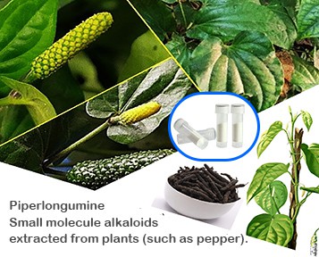 Quan la cura de la pell es troba amb la ciència cel·lular: les múltiples poss...