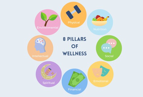 20-304 powder peptied 20-304 powder peptied